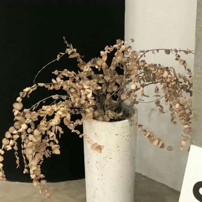 新华FurryQQ群介绍